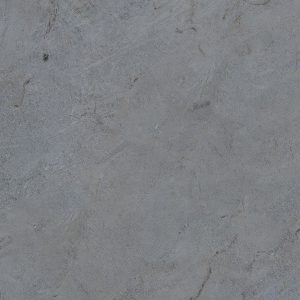 طوسی تیره